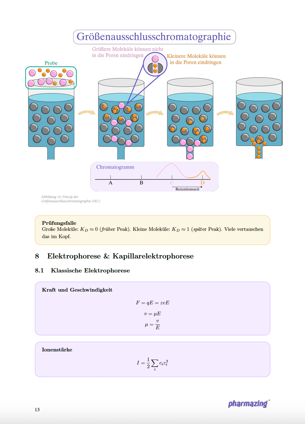 Prinzip der Größenausschlusschromatographie mit Darstellung der Trennung großer und kleiner Moleküle in einer Chromatographiesäule.