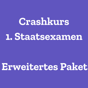 Crashkurs 1. Stex + WhatsApp-Gruppe