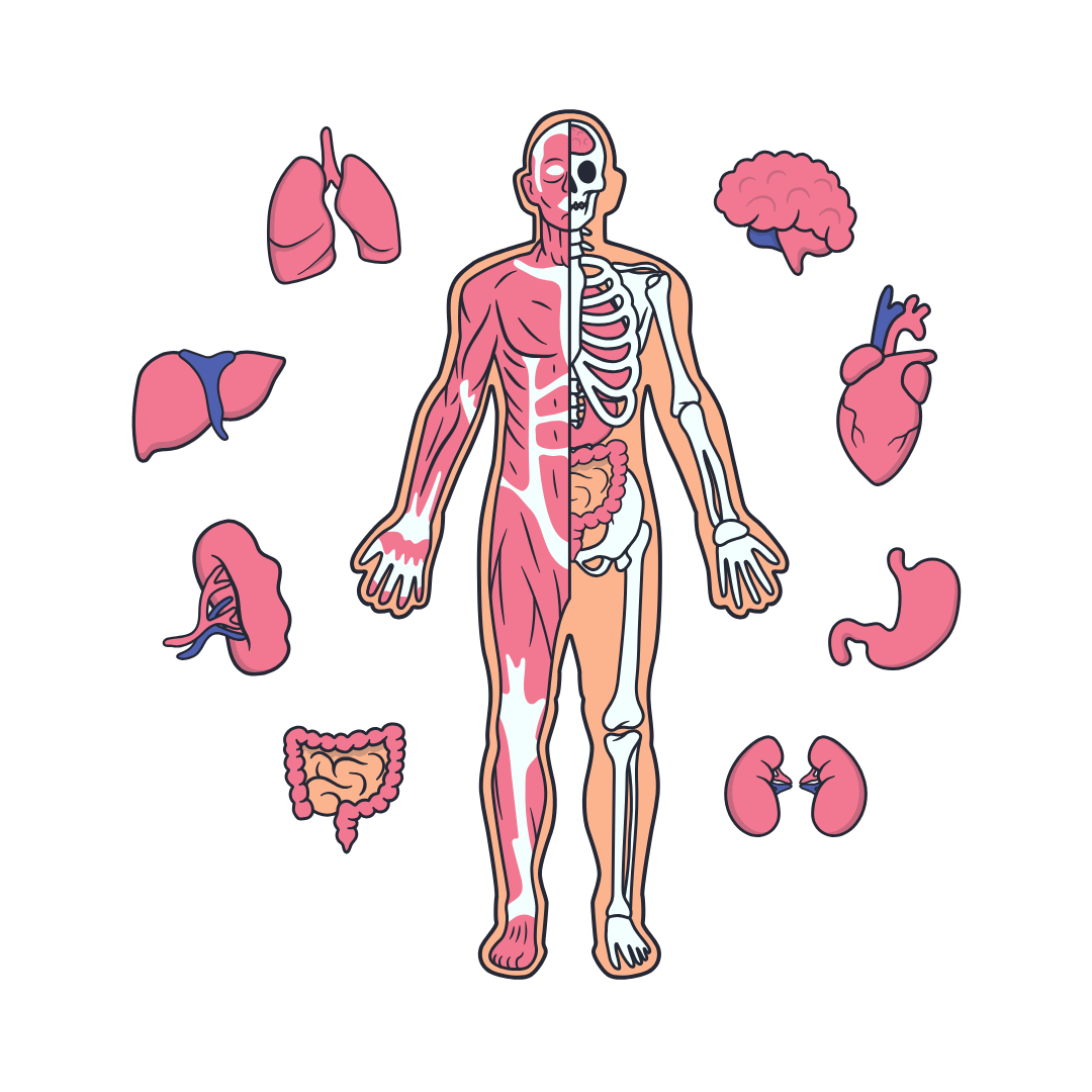 Abbildungen u. Zeichnungen